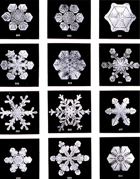 File:Snowflakes.jpg